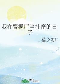 我在警察世界当差