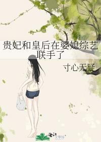 贵妃与皇后争宠