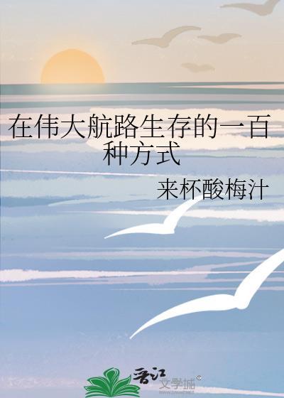 在伟大航路冲浪的日子