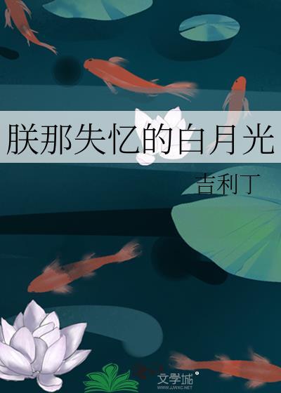 朕那失忆的白月光TXT完整版