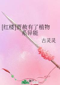 红楼之贾赦过继的