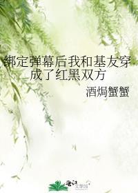绑定弹幕后我和基友穿成了红黑双方推荐