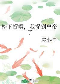 榜下捉婿的最新章节
