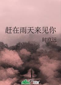 赶在雨天来见你番外时玖远