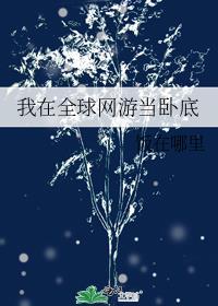 我在网游世界当npc免费阅读