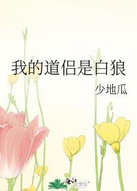 我的道侣是我的敌人