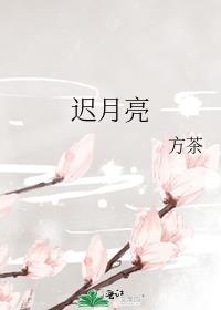 林间有风gl