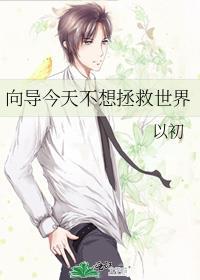 向导今天他不装了TXT