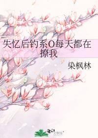 失忆后钓系o每天都在撩我茶倪百度番外