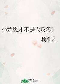 小龙崽短剧全集免费