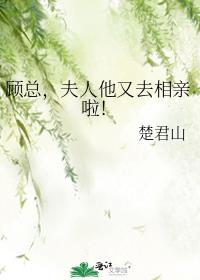顾总夫人她又要退婚了最新章节更新