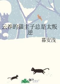 云养猫的隐含含义
