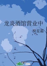 龙炎集资