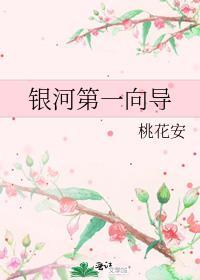 银河第一纪元