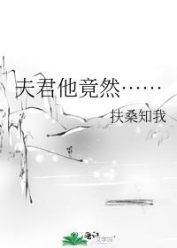 夫君他竟然