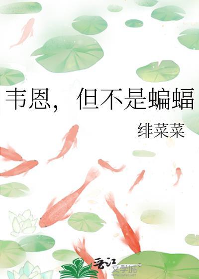 蝙蝠侠韦恩集团