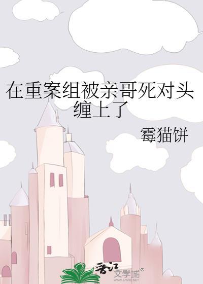 在重案六组第二部全集
