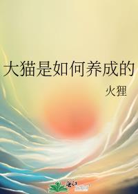 大猫咪呢