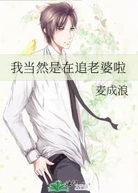 我当然是在追老婆啦晋江