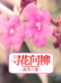 何寻梦是哪里的人啊