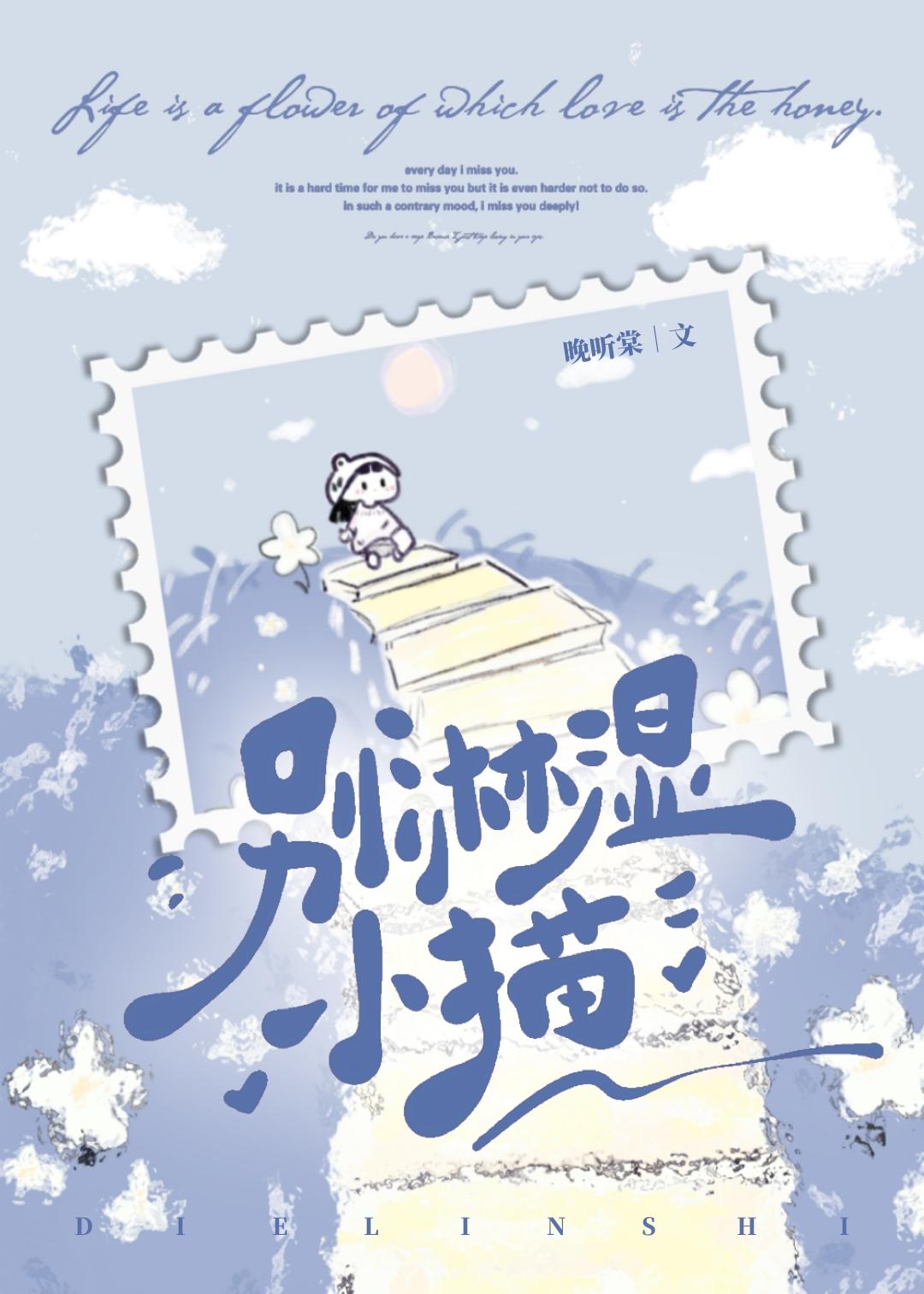 淋湿后的小猫
