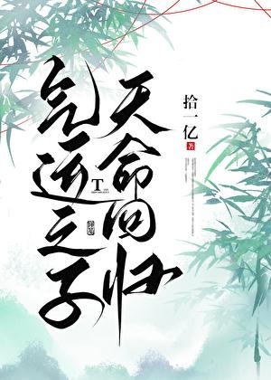 气运之子天命回归by拾一亿晋江