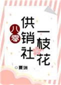 八十年代供销社视频