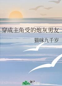 穿成主角受的炮灰男友作者