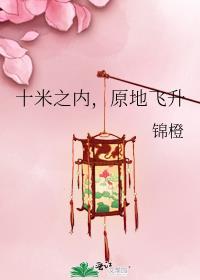 十米之内原地飞升锦橙28章