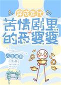 恶婆婆是什么剧