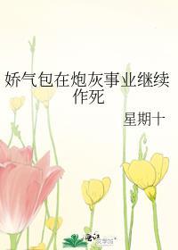 娇气包穿成炮灰后