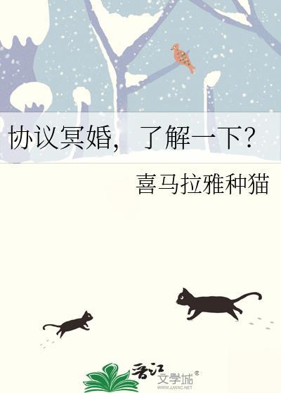 协议婚姻by