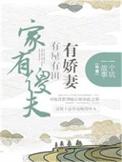 家有傻妻最经典十句话