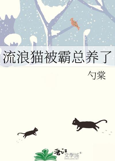 流浪猫被霸总养了全文免费阅读勺棠