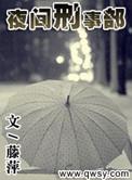 夜间刑事档案 藤萍
