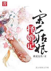 宋二姑娘择婿记132