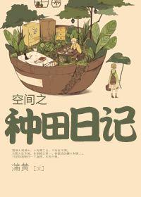 空间种田bl