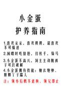 小金蛋鱼油一天吃几粒效果最好