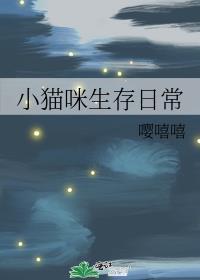小猫生活