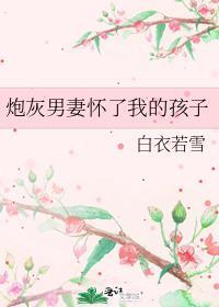 炮灰男妻怀了我的孩子番外
