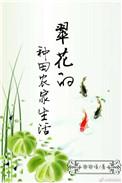 翠花的养子叫什么