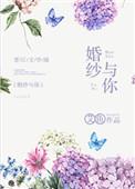 婚纱与你txt