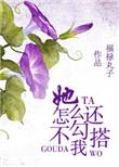 她咋不上钩原著叫什么