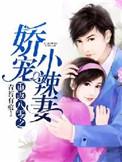 重返八零娇宠小娇妻