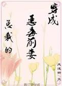 穿成霸总恶毒前妻风浅析