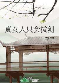 女人只会拔剑存宁txt