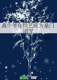 真少爷在综艺成为豪门团宠雪满清