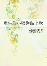 小狼狗也重生