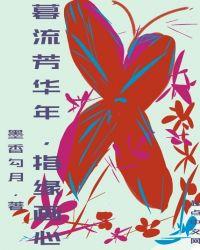 暮年芳华的意思