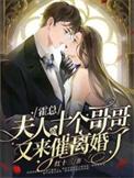 夫人又上